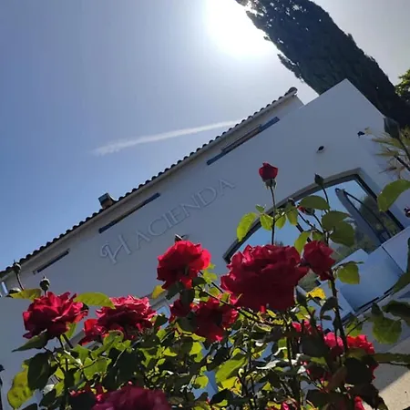 Hacienda D *