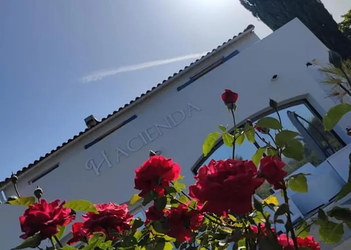 Hacienda D 3*